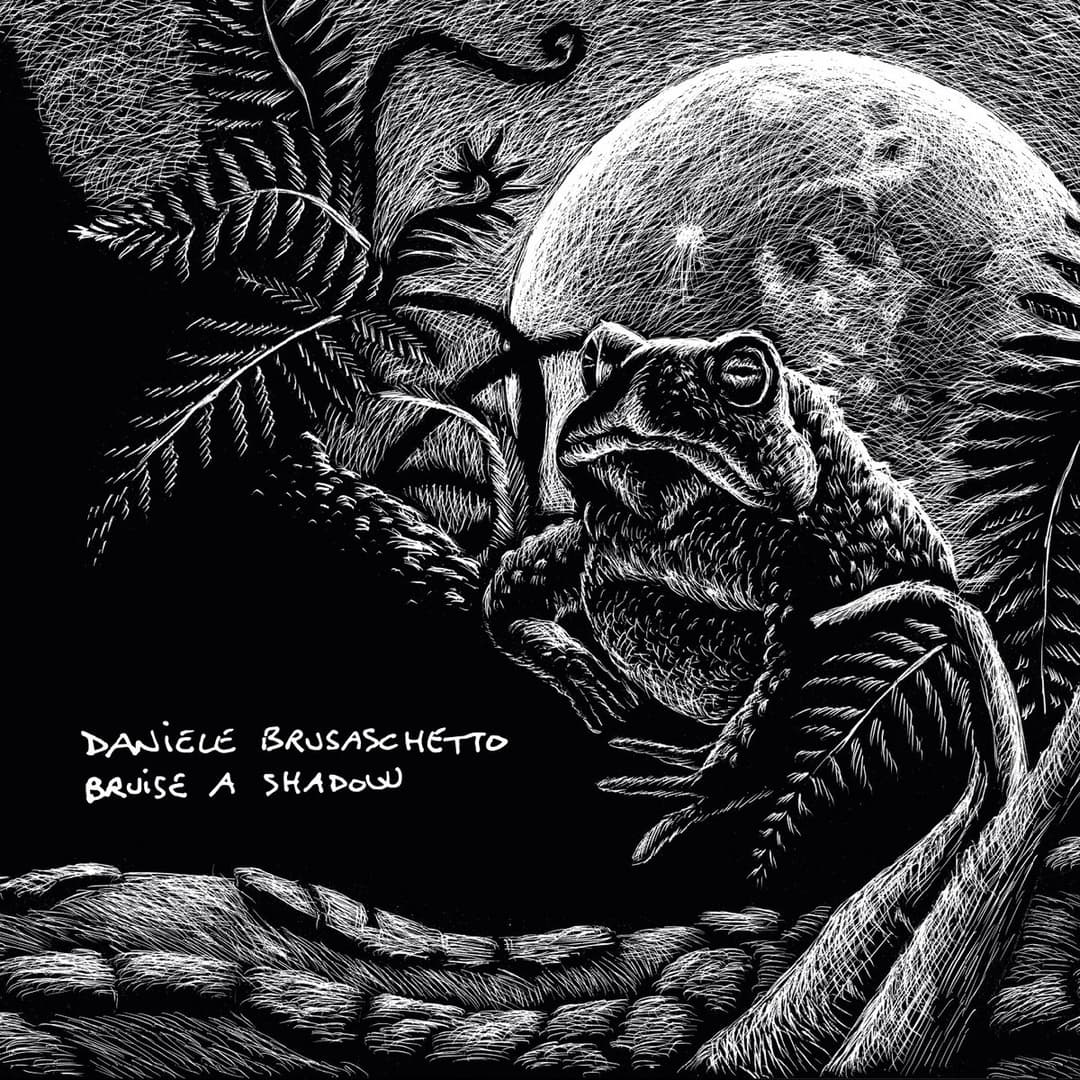 Daniele Brusaschetto - Bruise A Shadow